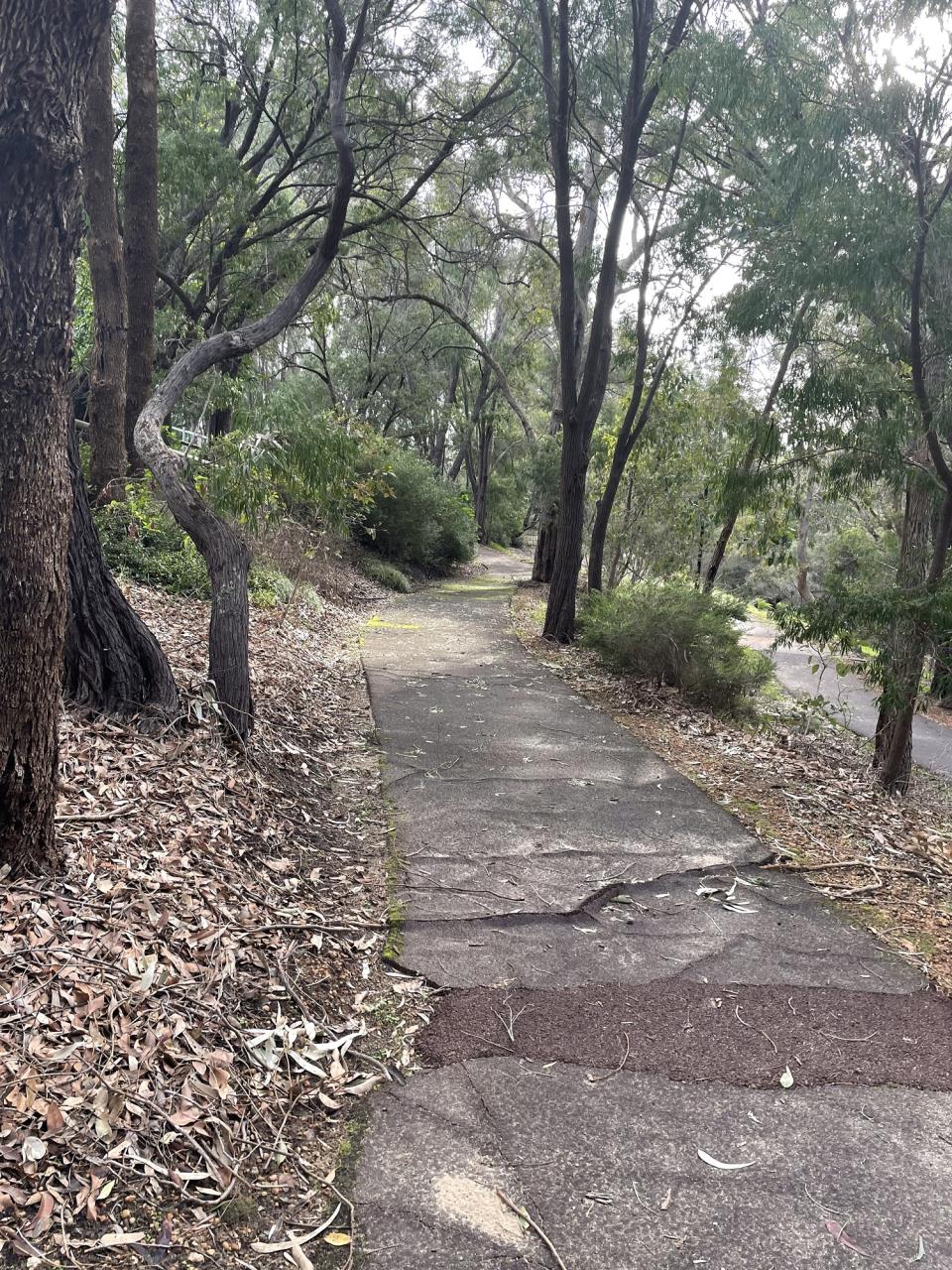 The Shire of Dardanup will conduct maintenance at the Alice Court/Millers Creek pathway in Millbridge starting this Wednesday, September 4, which is expected to take three days.