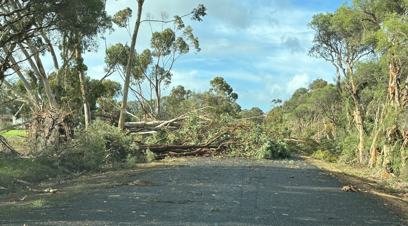 Shire continues clean up from Saturday's storm